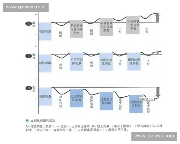 基于训练负荷的运动表现优化与个体化调控策略研究 基于训练负荷的运动表现优化与个体化调控策略研究